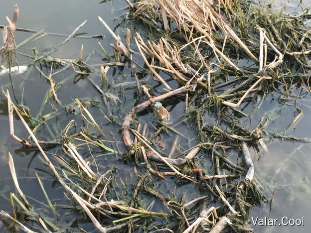 串场河