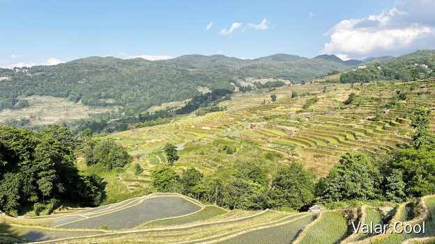 大鱼塘梯田