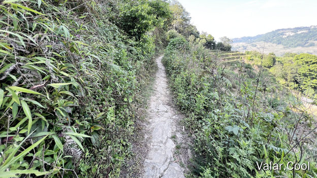 田间小径
