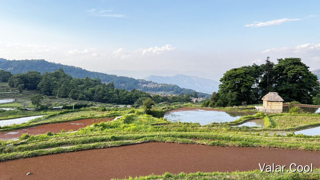 箐口村