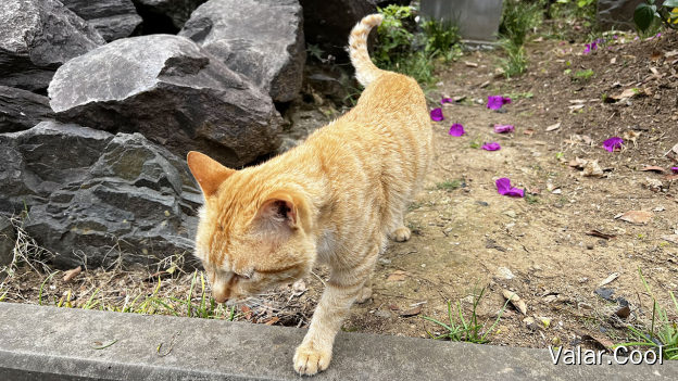来凤寺