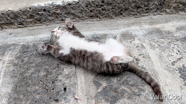 和顺古镇的拦路虎