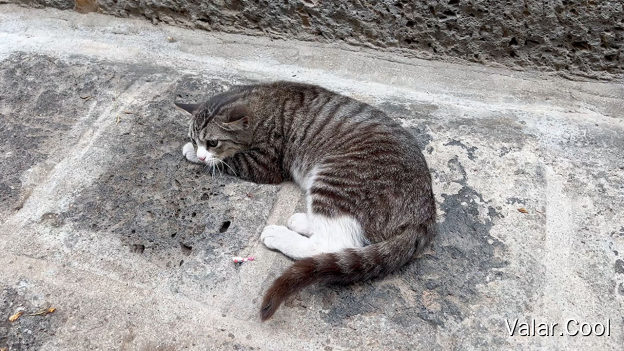 和顺古镇的拦路虎