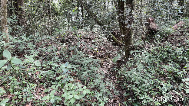 来凤山抗日作战遗址二号阵地