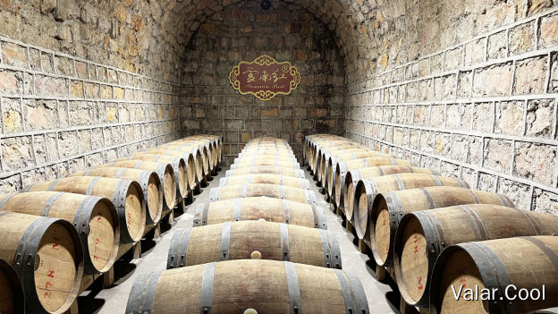 云南红酒庄地窖