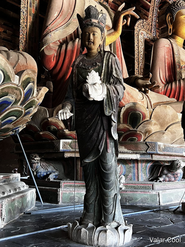 肋侍